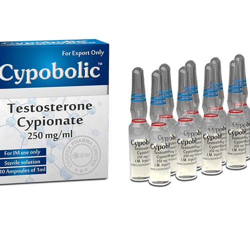 Testosterone Cypionate - Cypiobolic 200mg x 5 amps
